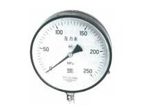 Special gauge