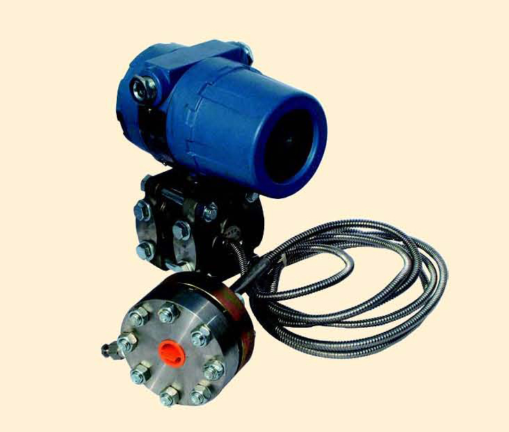 Differential pressure/pressure transmitter with remote trans