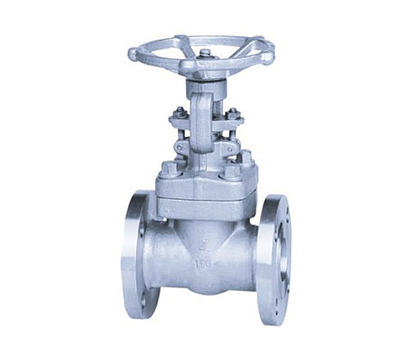 Forged steel gate valve for ammonia